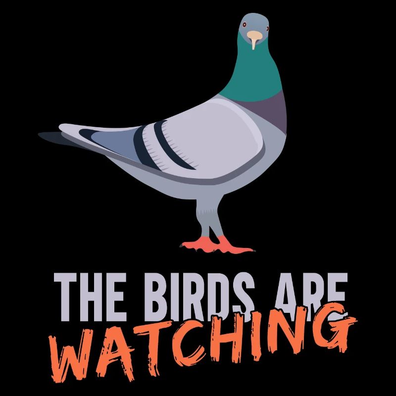 Les oiseaux observent