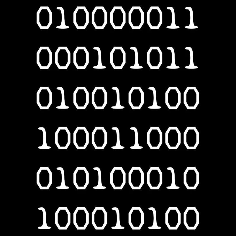 Binary code white web developer humor funny