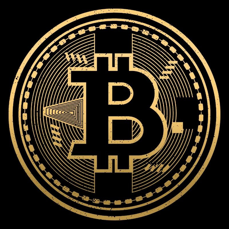 Crypto Bitcoin It's time for Plan B Shirt Geschenk