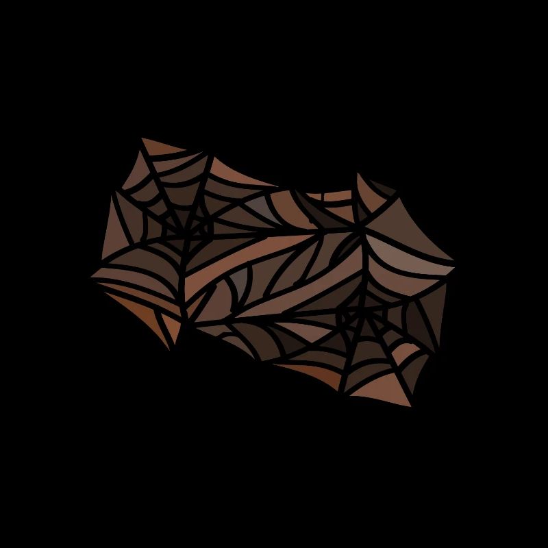 spiders spider webs