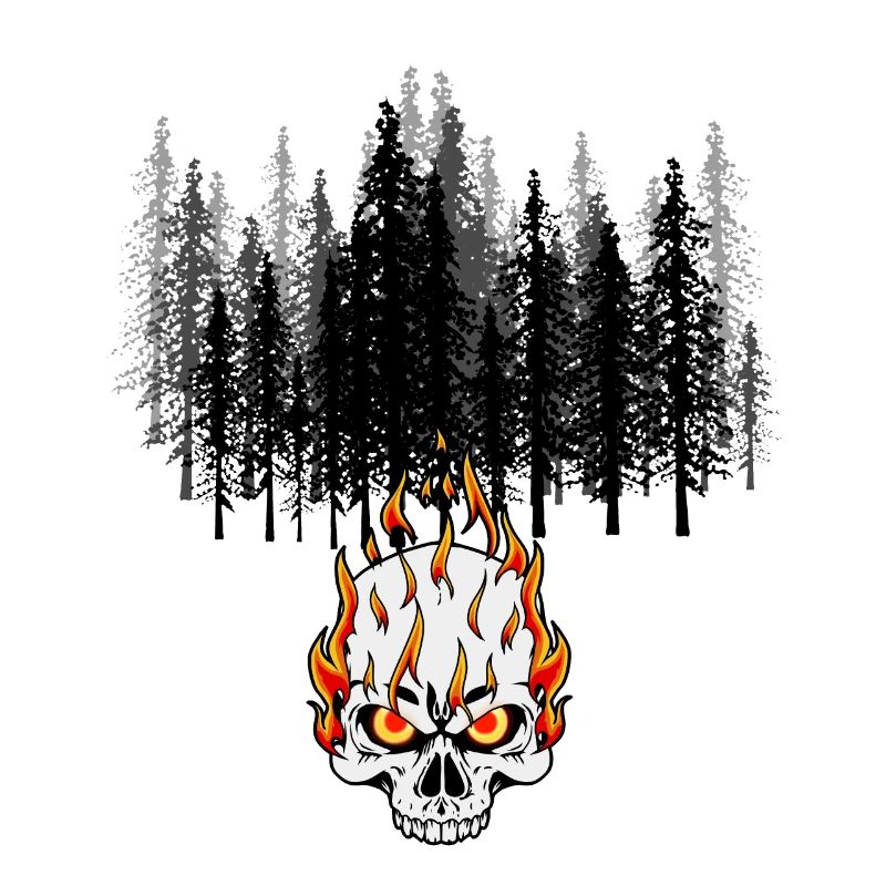 Forest fire fire fire devil flame conservation