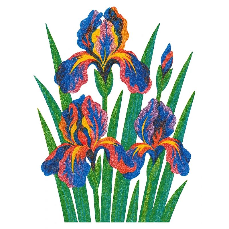 Rétro Iris Floral Bloom