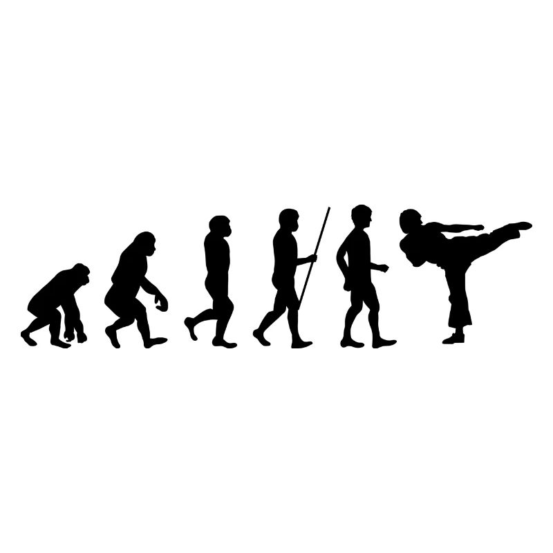 KARATE Evolution Kampfsport Kickboxen Bruce Lee