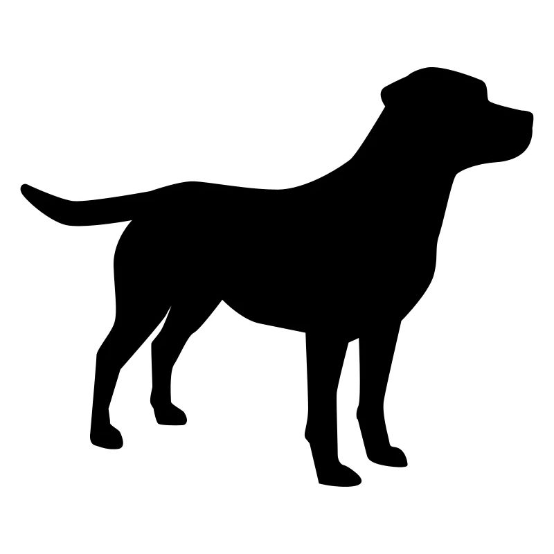 Labrador