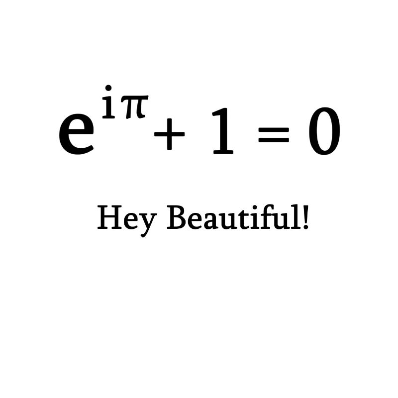 Euler identité math mathématicien nerd science pi