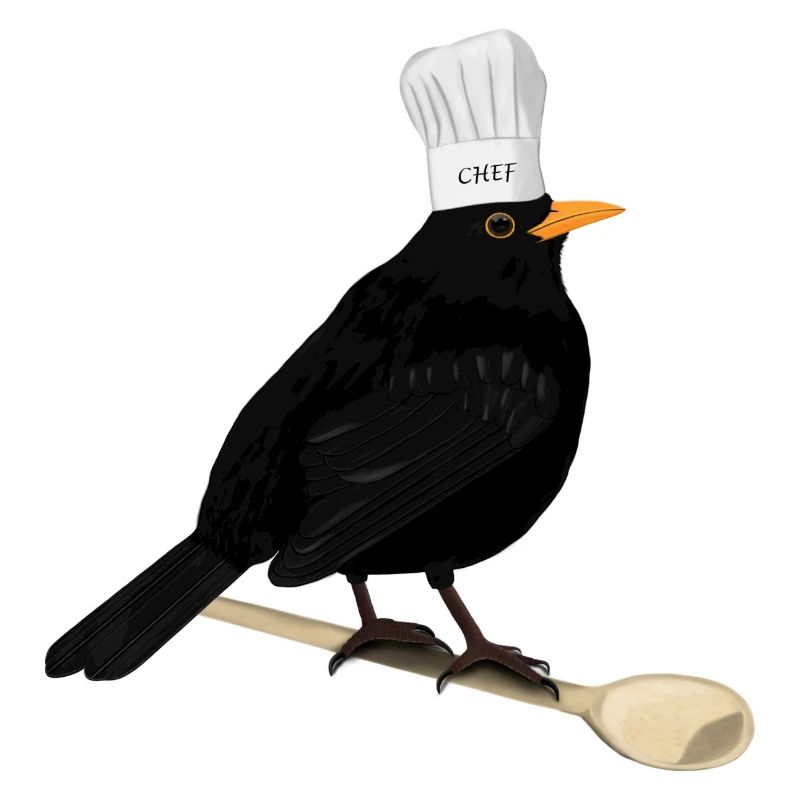 Blackbird Chef Chef Kitchen Bird Watcher