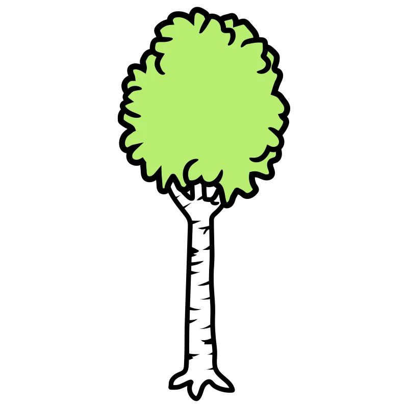 Birch Trees Cool