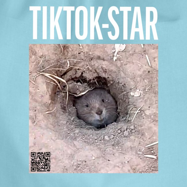 TikTok-Star