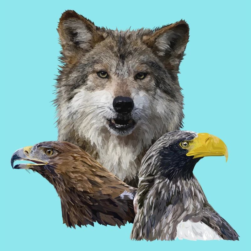 Wolf and Eagles