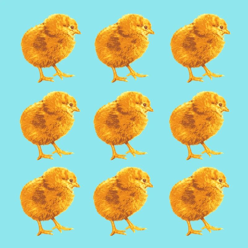 Chick Pattern for Spring and Nature