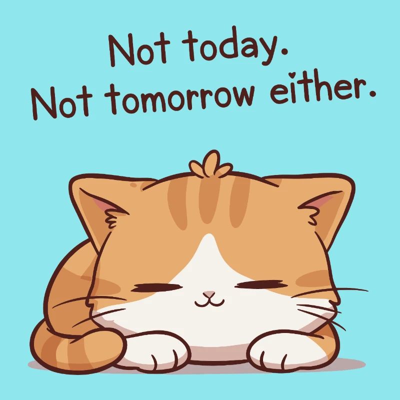 Sleeper kitten Not today Not tomorrow