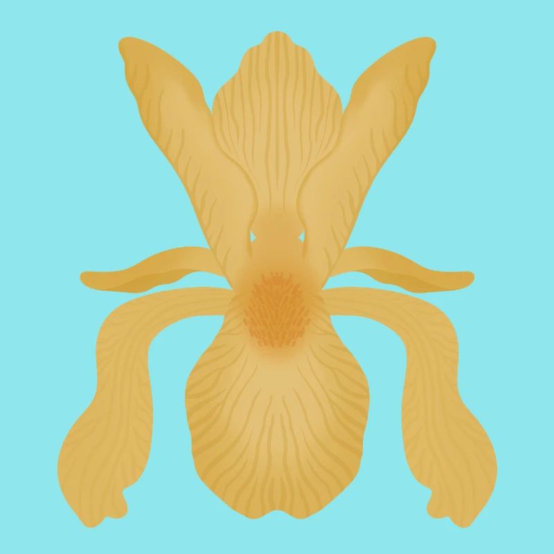 Golden Iris Bloom