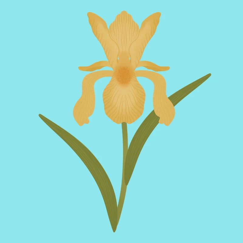 Golden Iris Bloom on Green