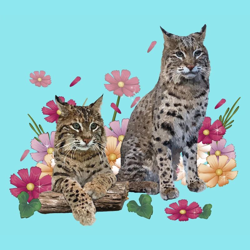 Luchs