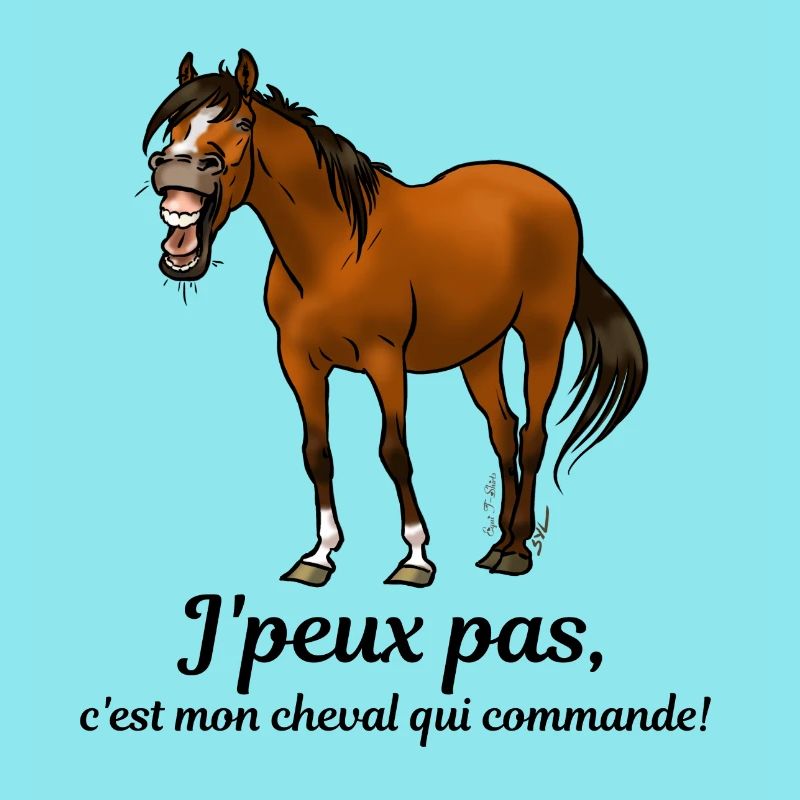 Mon cheval commande