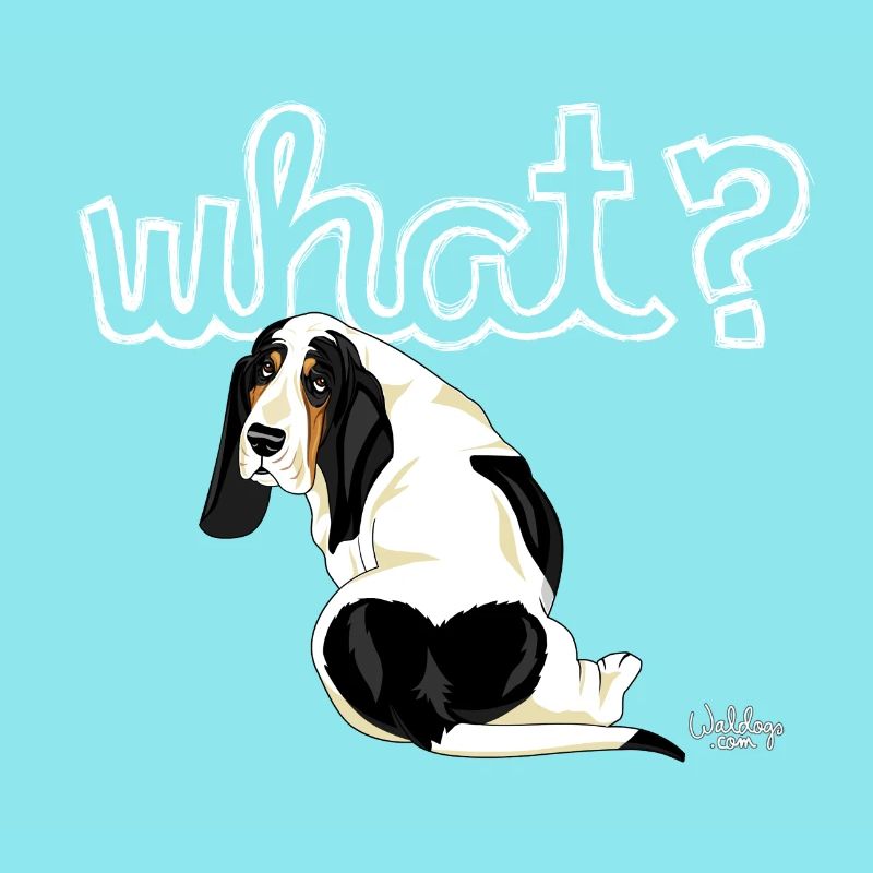 bassewhat