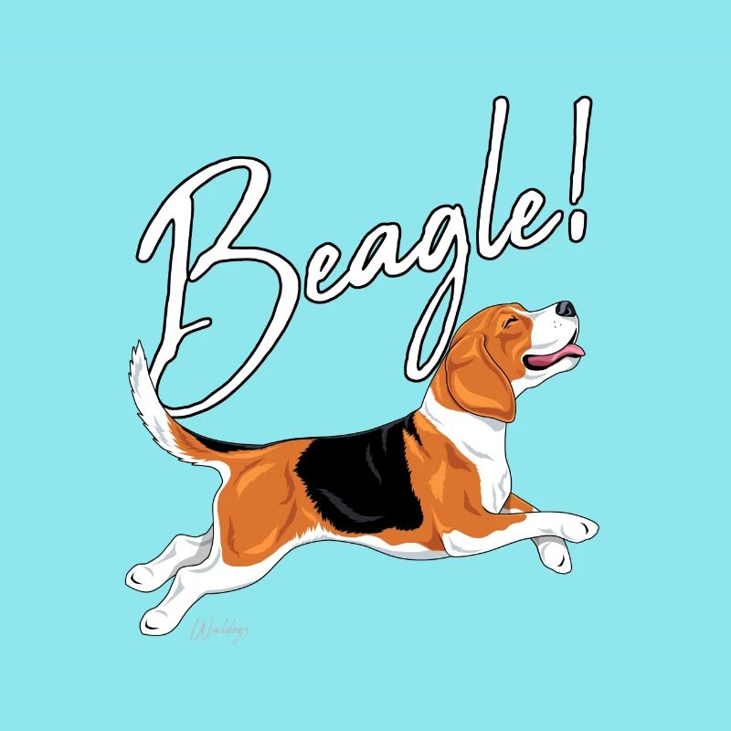 Beagle!