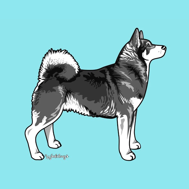 Elkhound