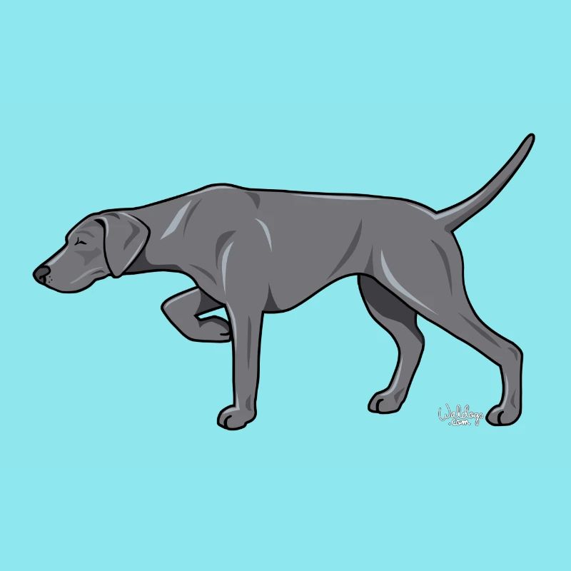 weimaraner