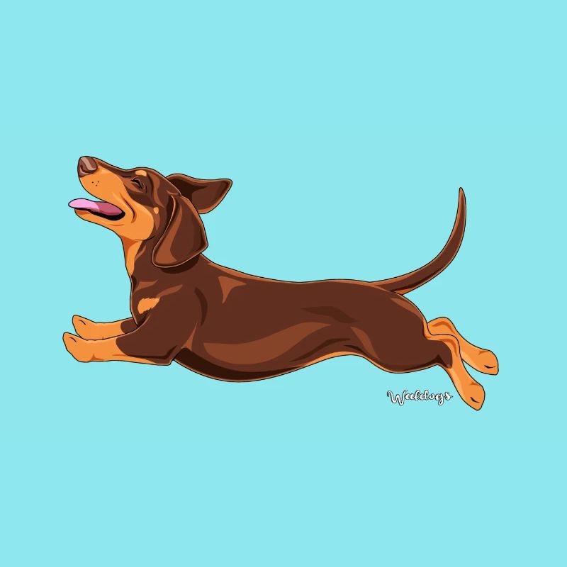 Dachshund Smooth 2