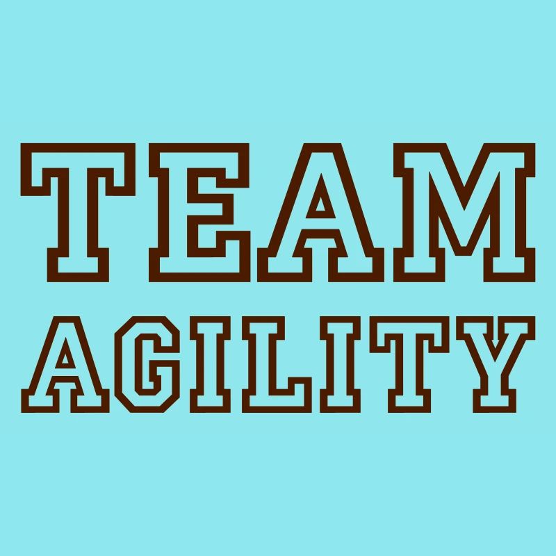 Team Agility