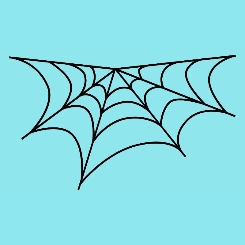 Spider web