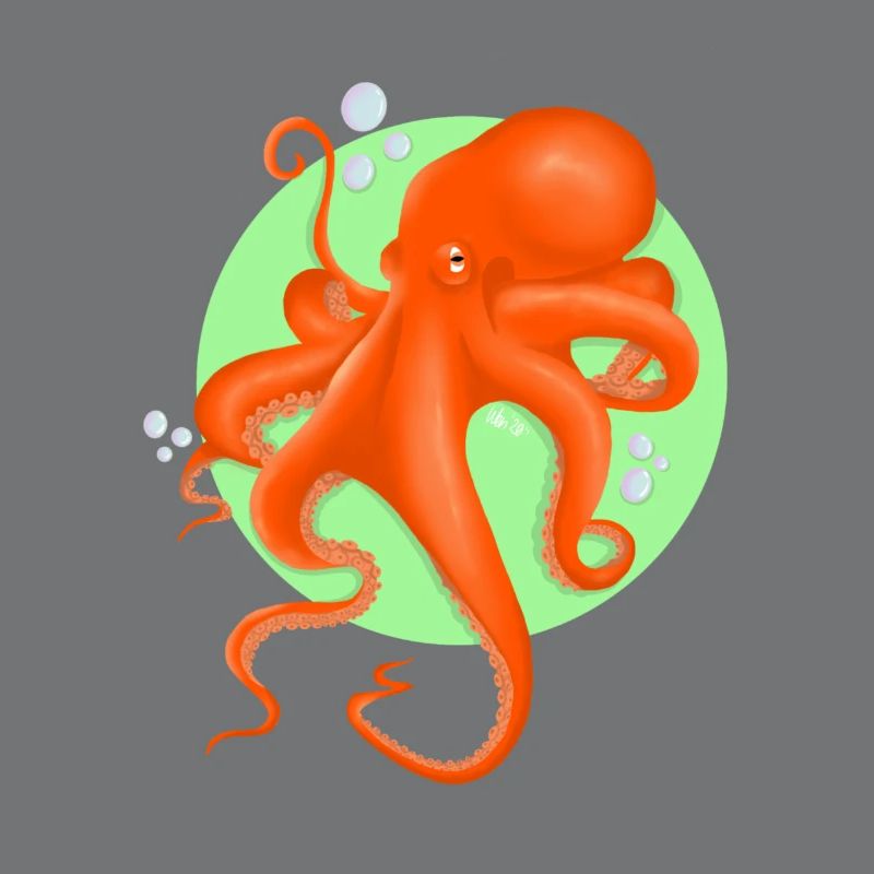 Octopus_shit