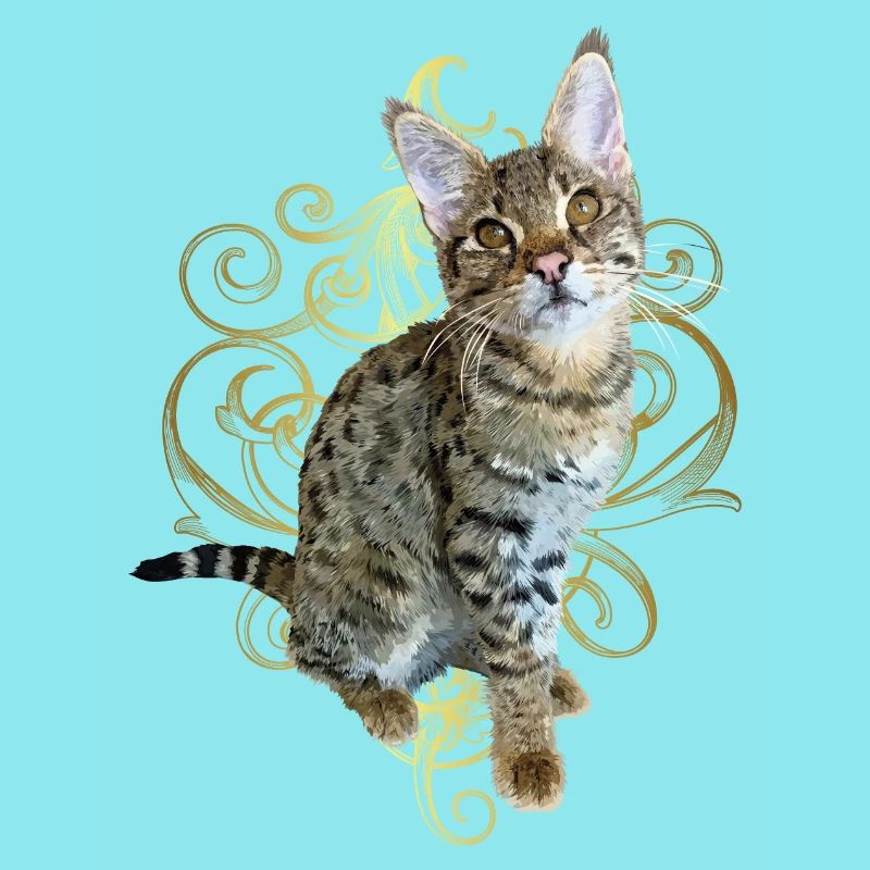 Tabby