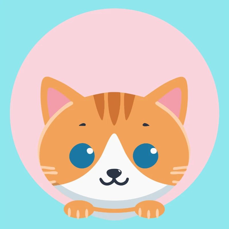 Chat orange