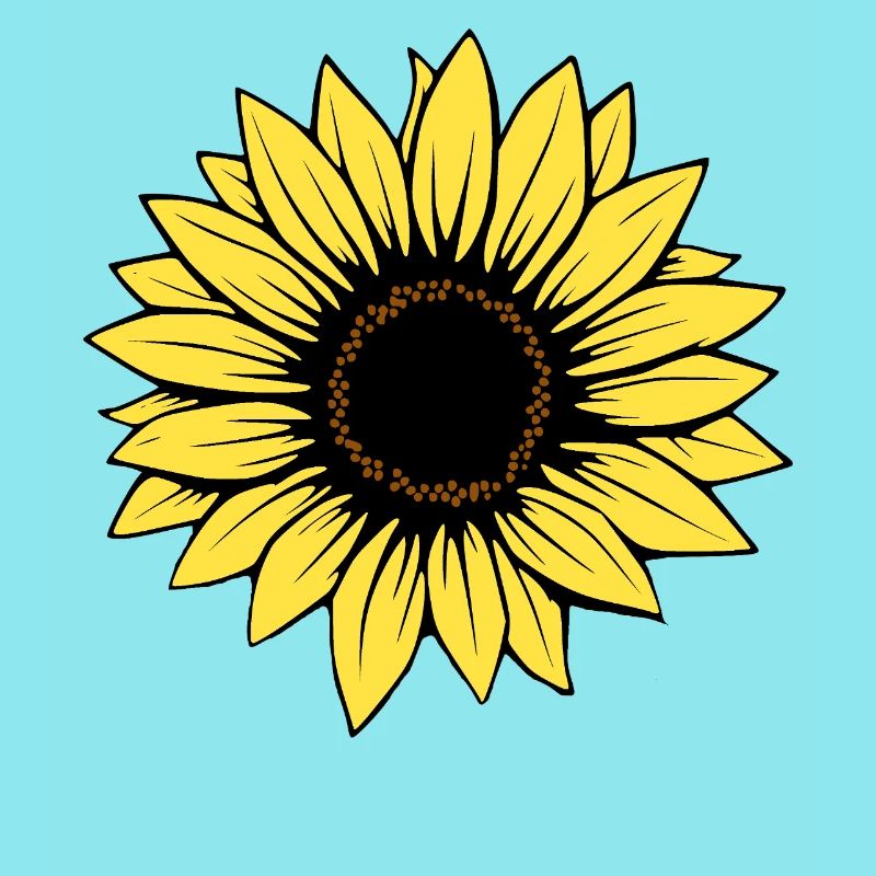 Fleur Fleur Jaune Fleurs Fleur Tournesol Fleur