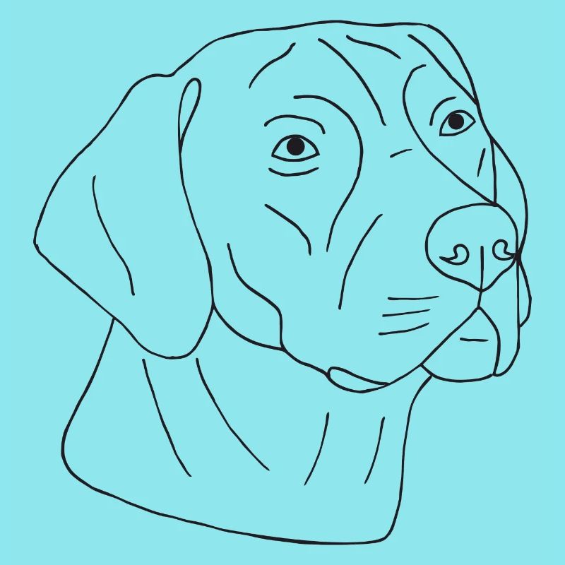 Rhodesian Ridgeback