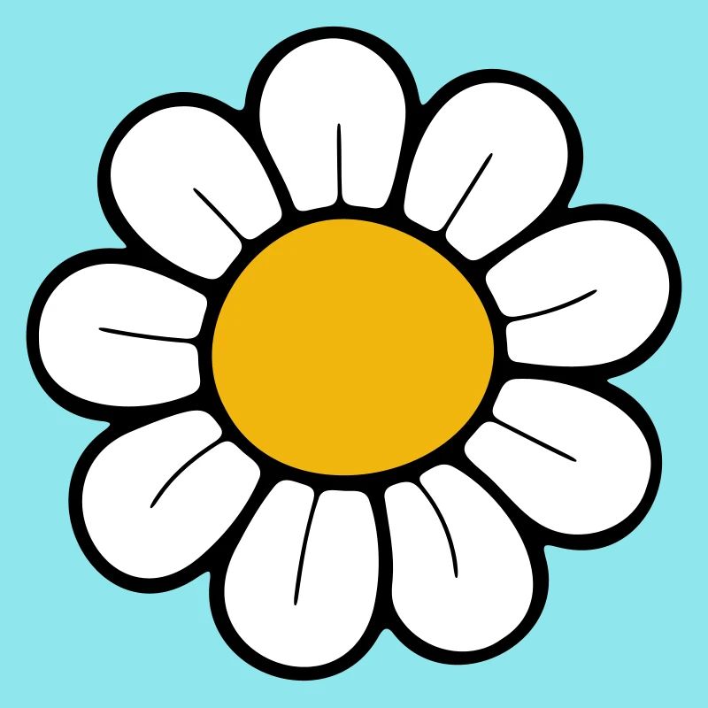 Gänseblümchen