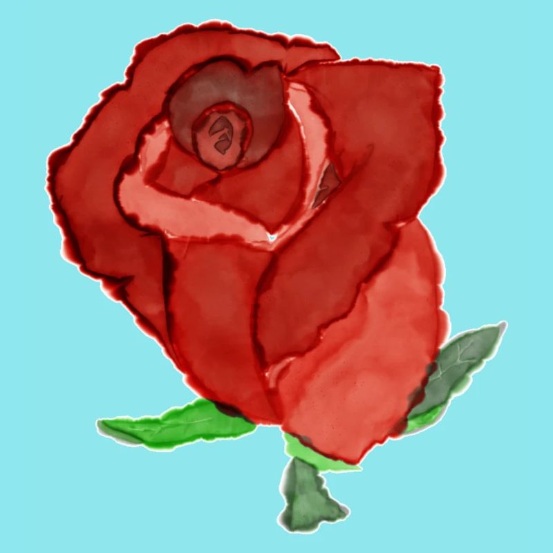 Romantic Rose Illustration