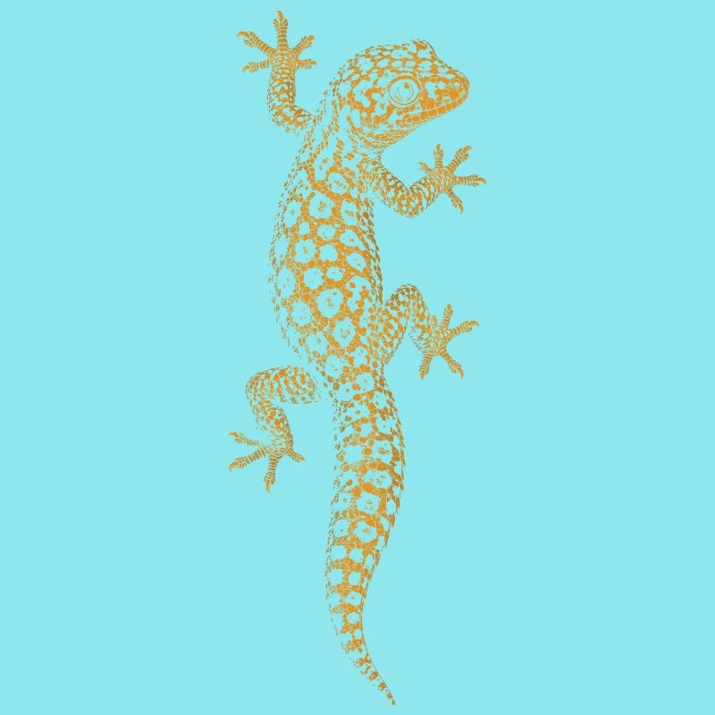 leopard gecko