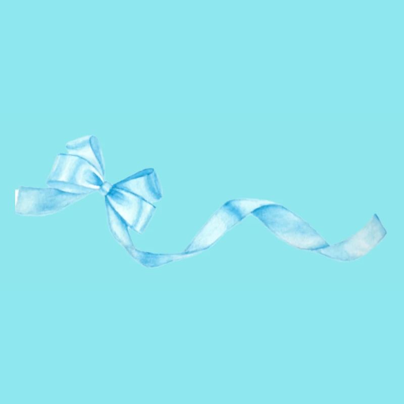sky-blue bow