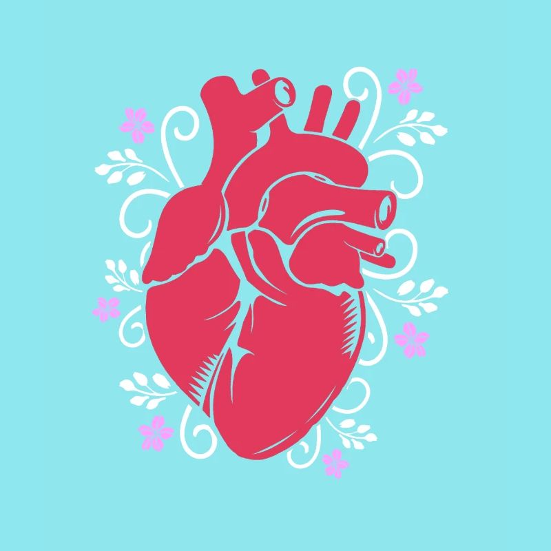 Cardiogram, cardiography, sonography, ultrasound