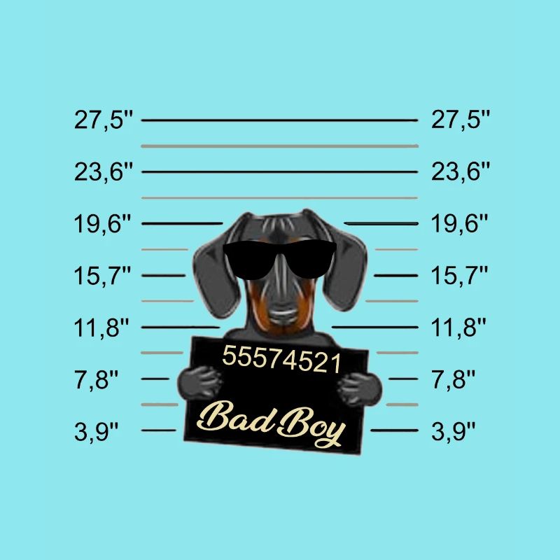 Bad Boy Dackel oder junger Dobermann - Böser Hund