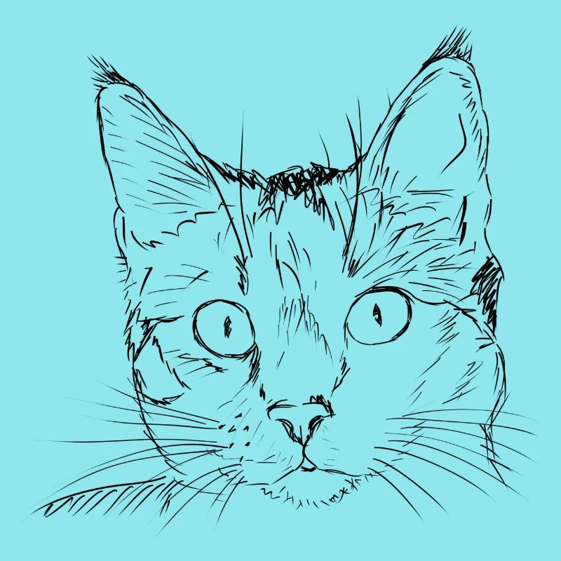 Katze