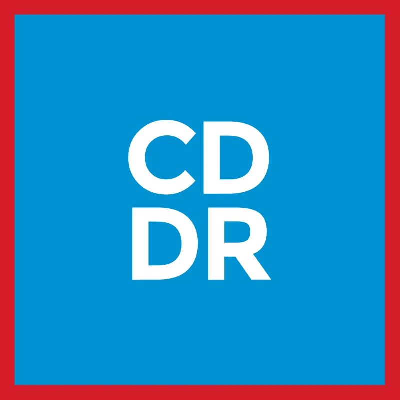 CodeDoor Logo 2024