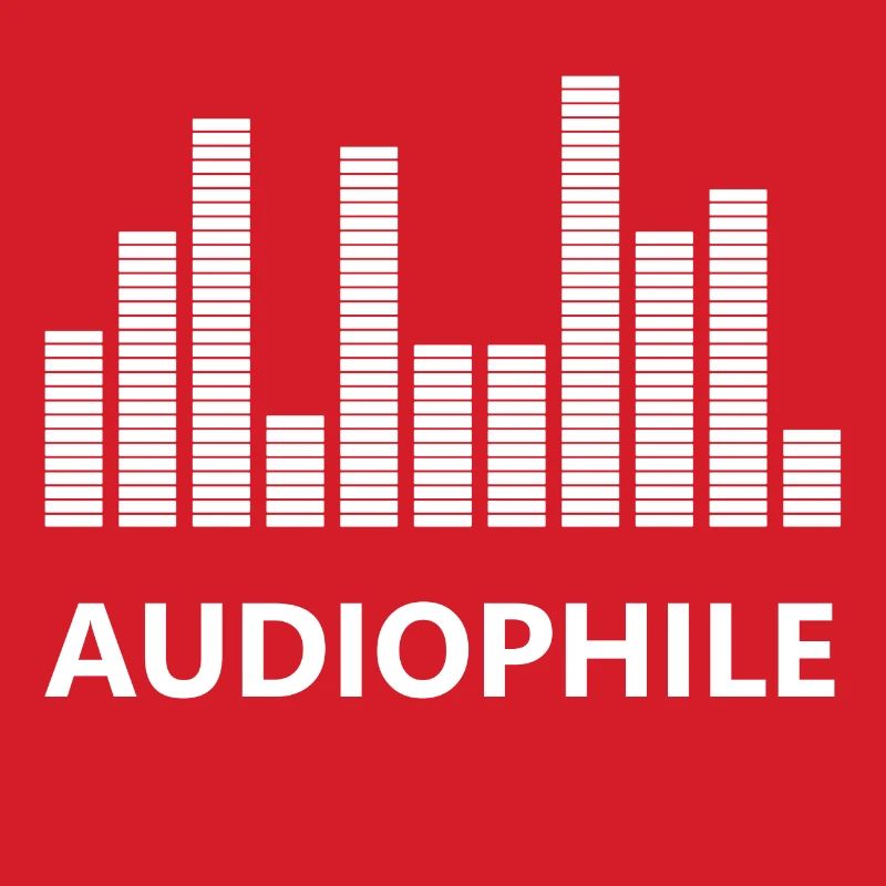 Audiophile Amplifier