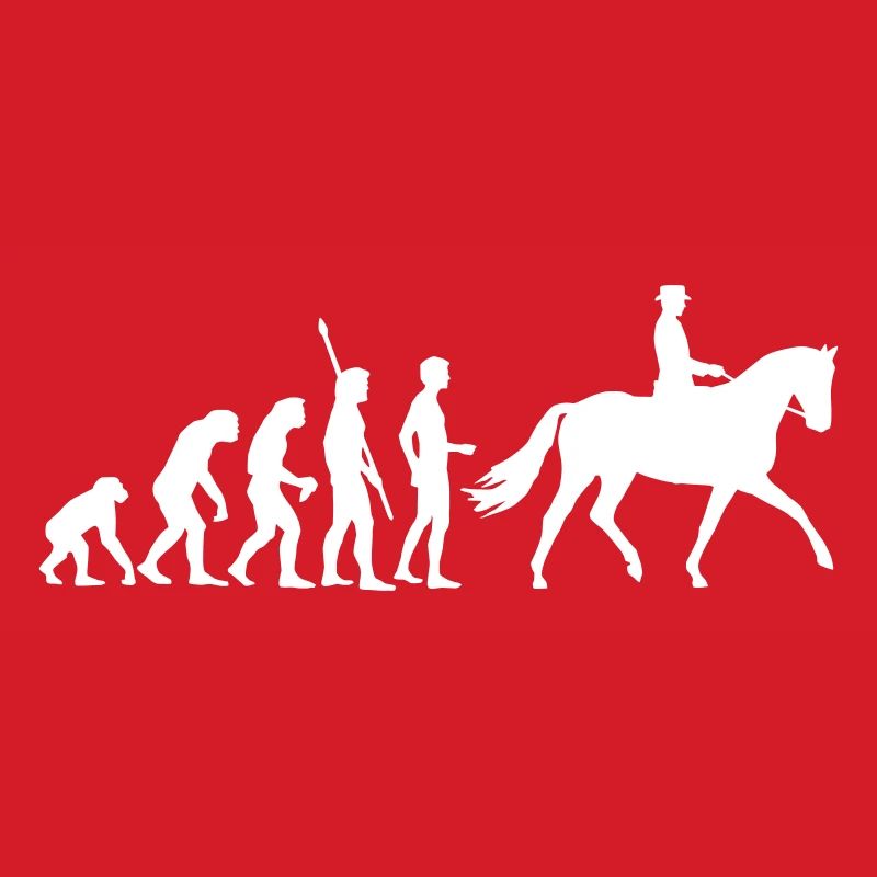 evolution_reiter