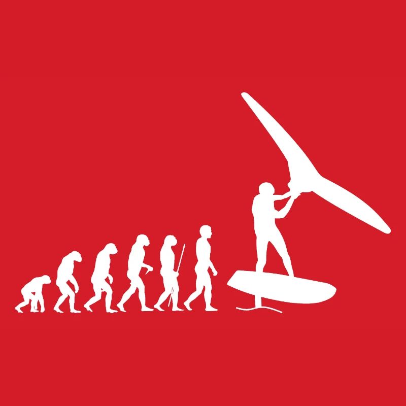 Wingfoil Evolution