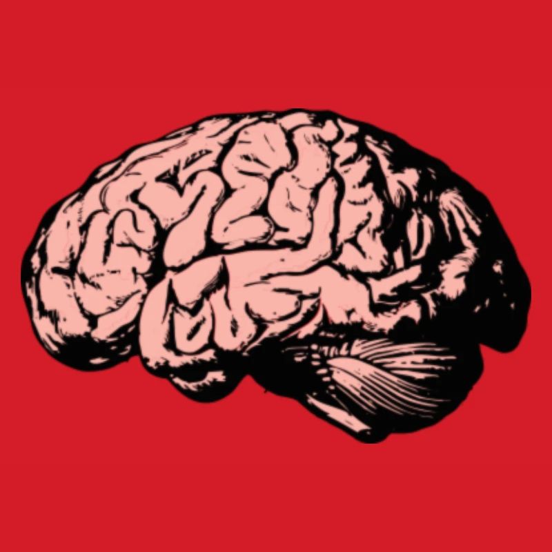 Brain
