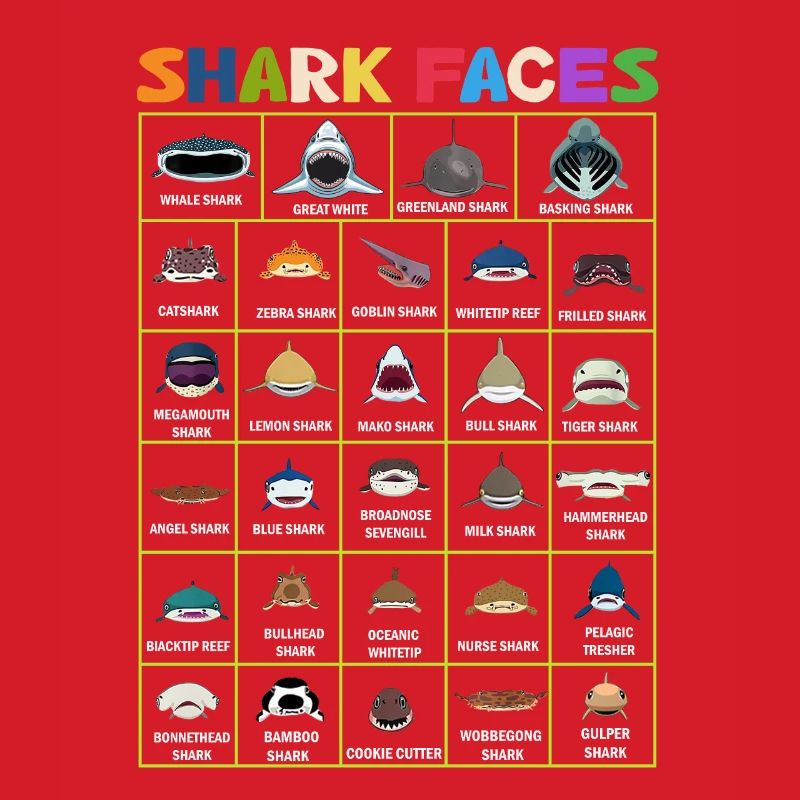 Types de visages de requin. Identification du visage du requin