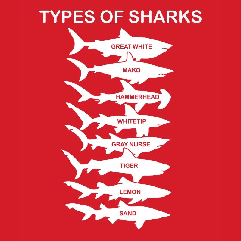Types de requins