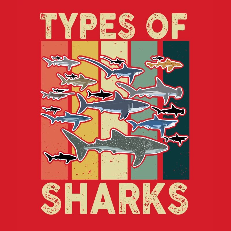 Types de requins