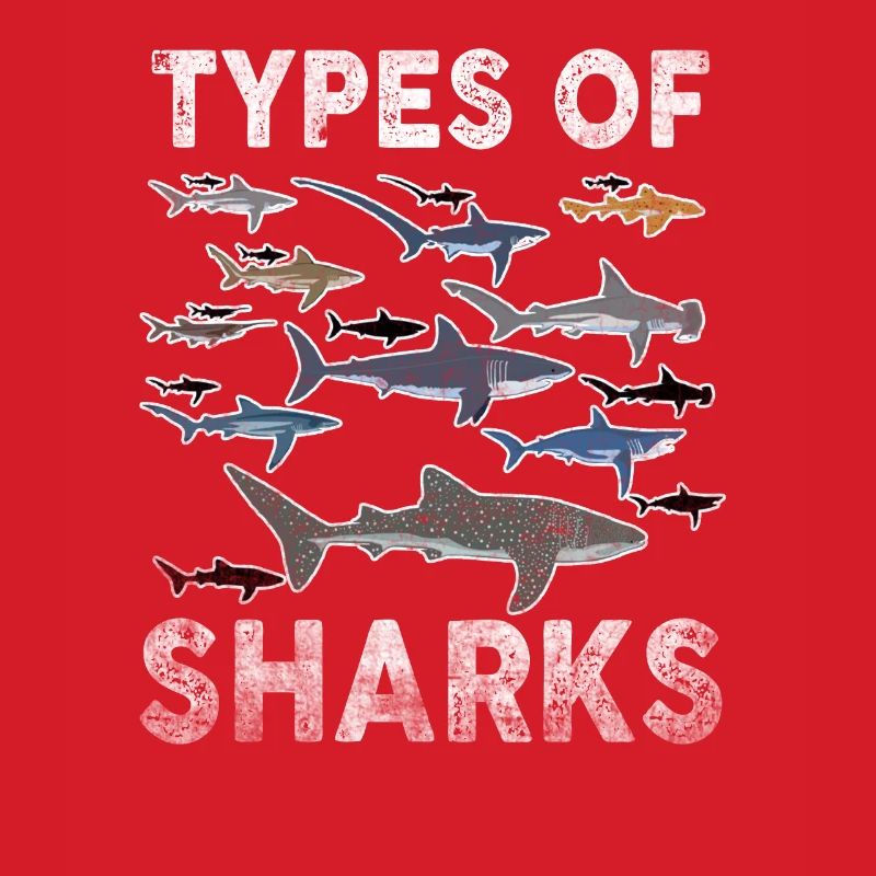 Types de requins