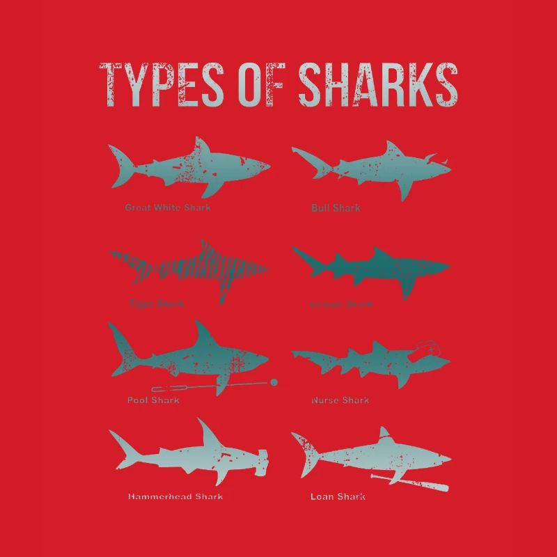 Types de requins