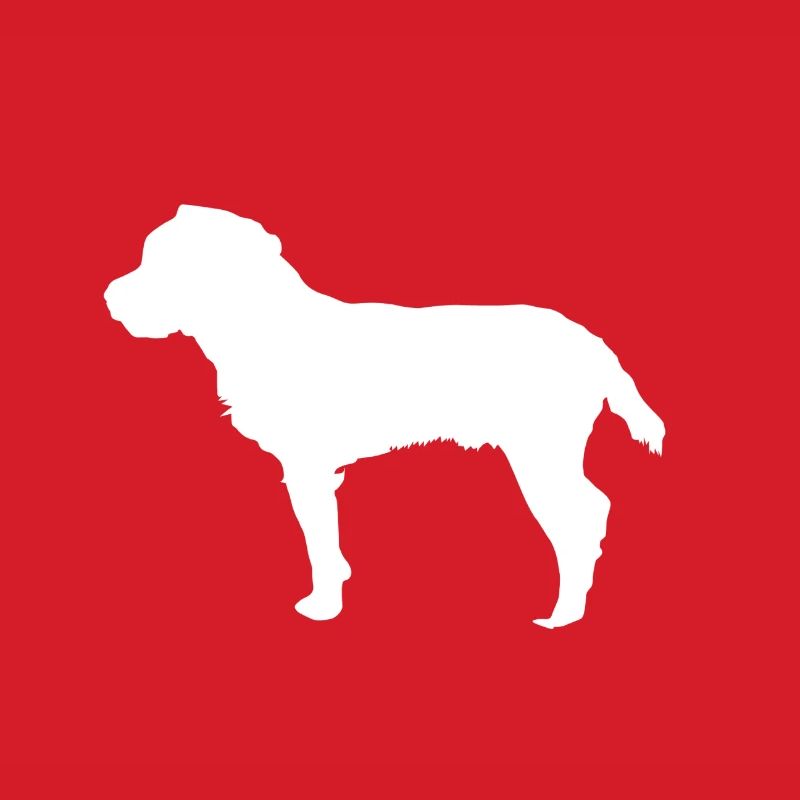 Jagdterrier - Deutscher Jagdterrier