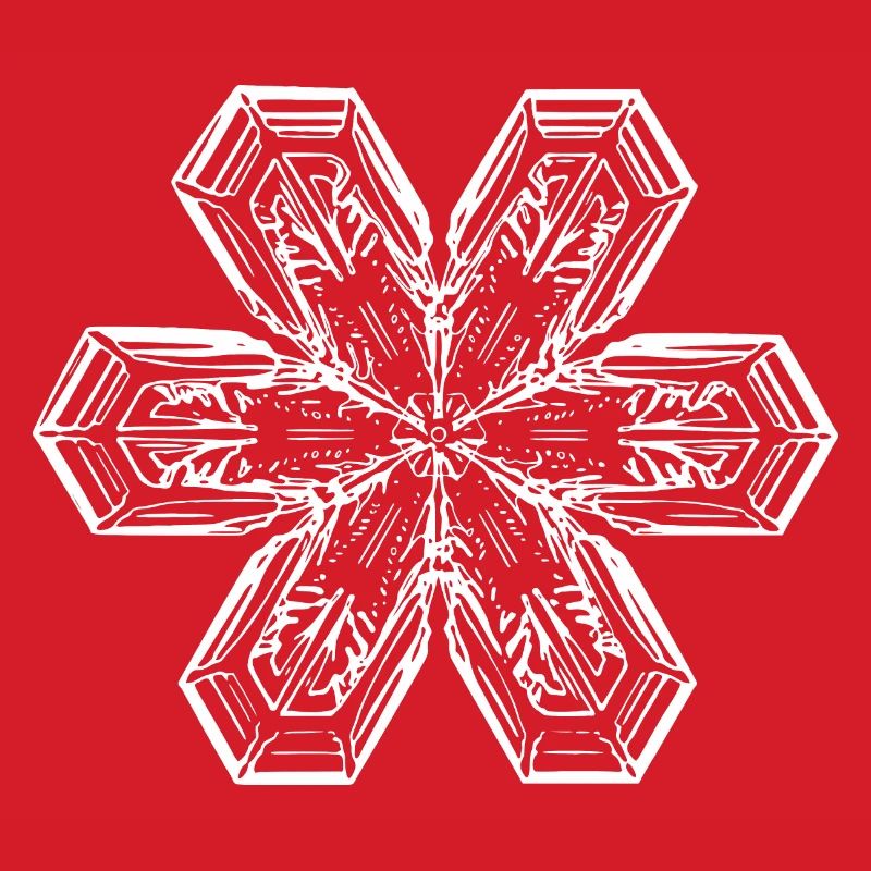 snowflake 1 white